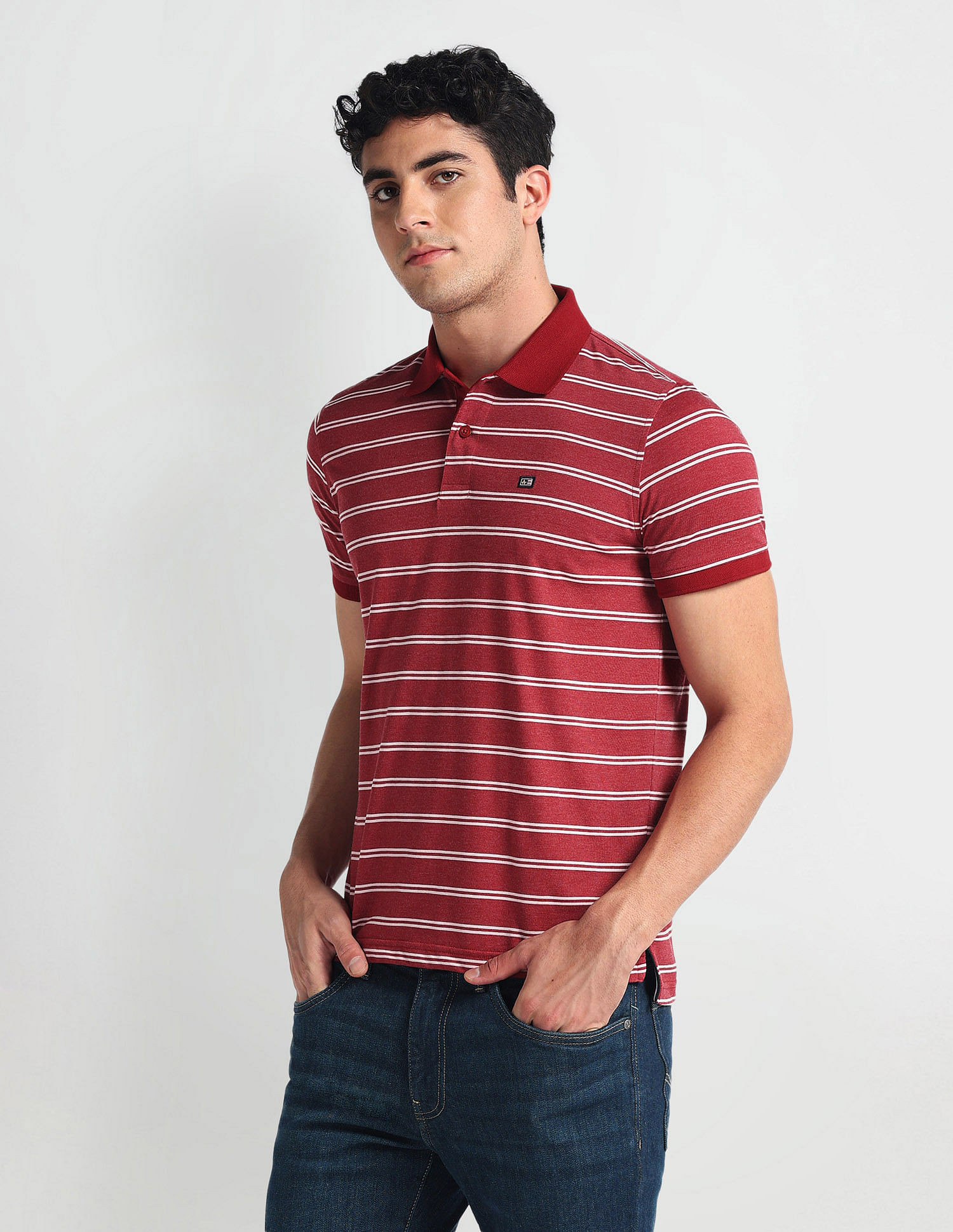 Arrow Sports Horizontal Stripe Cotton Polo Shirt