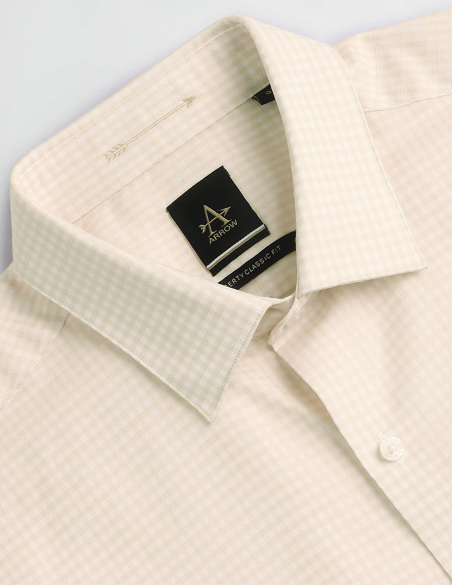 Arrow Micro Check Cotton Shirt