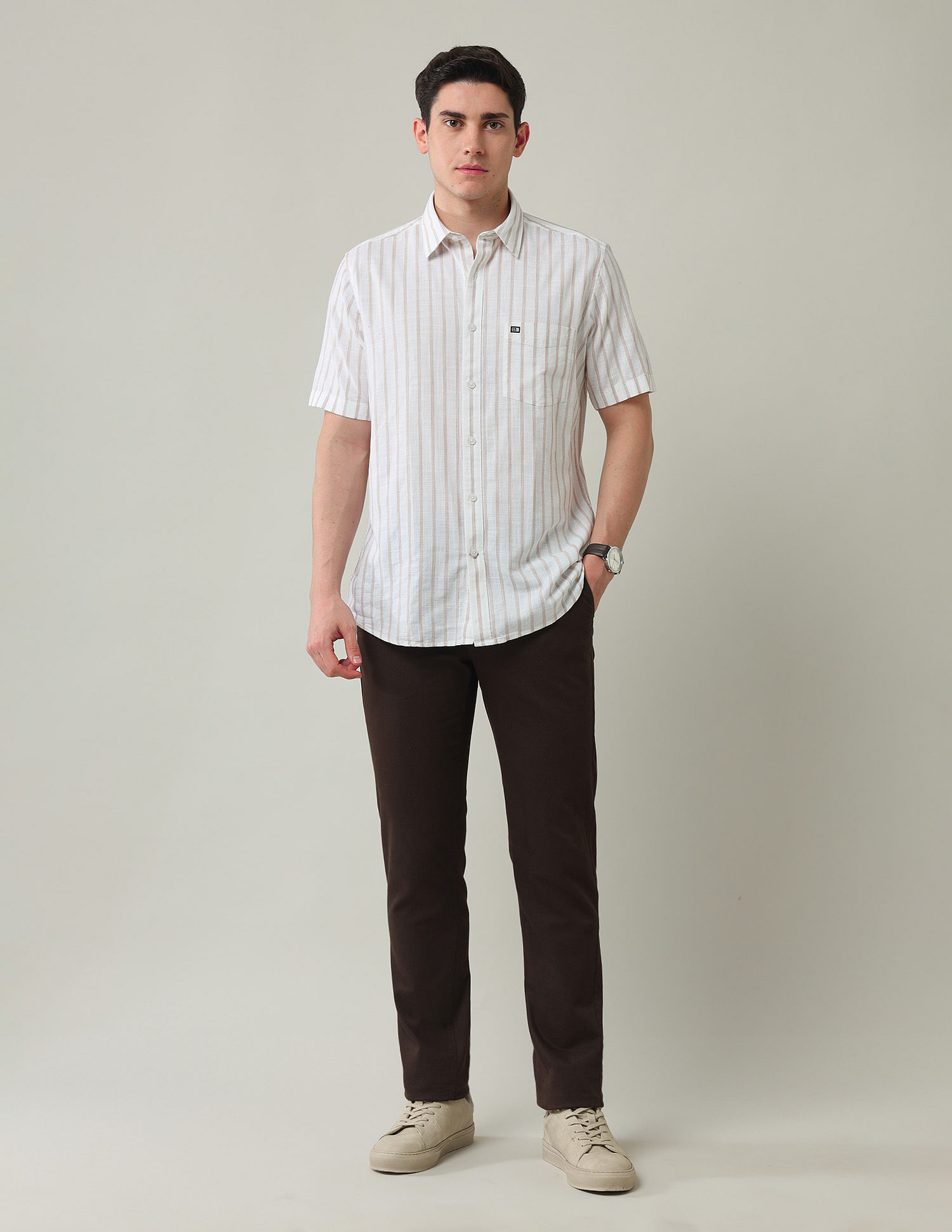 Arrow Sport Vertical Striped Dobby Shirt