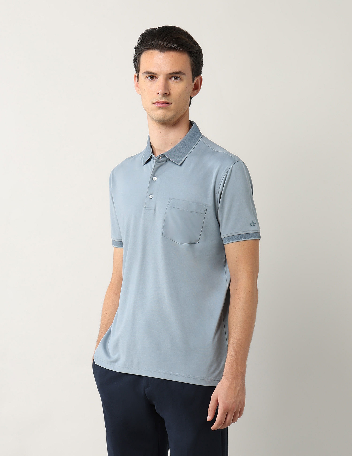 Arrow Solid Regular Fit Polo Shirt