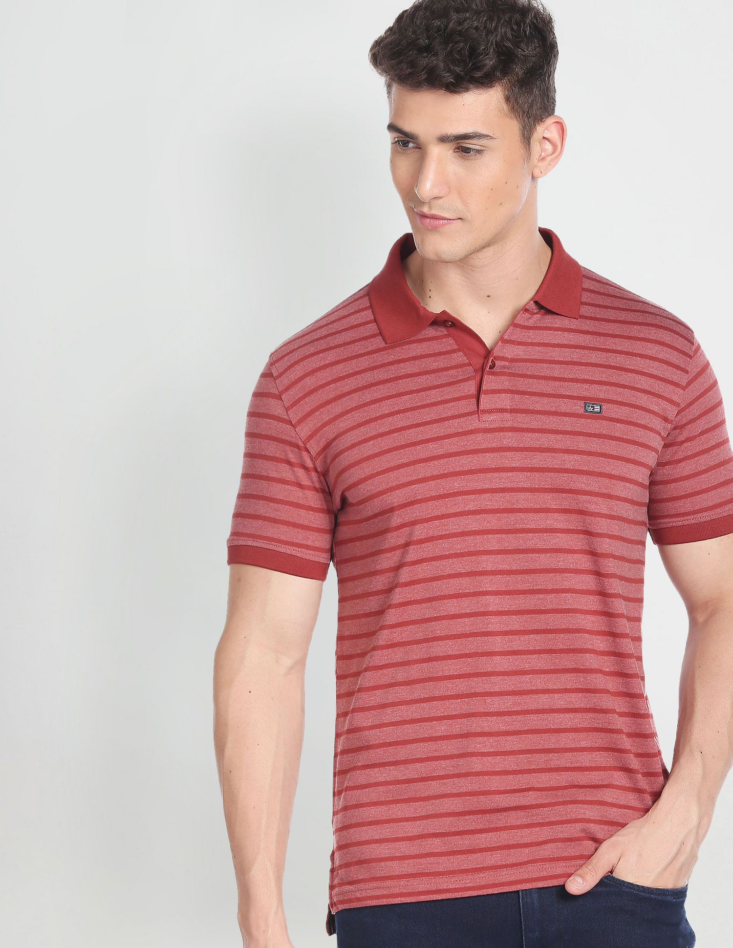 Arrow Sports Horizontal Striped Knitted Polo Shirt