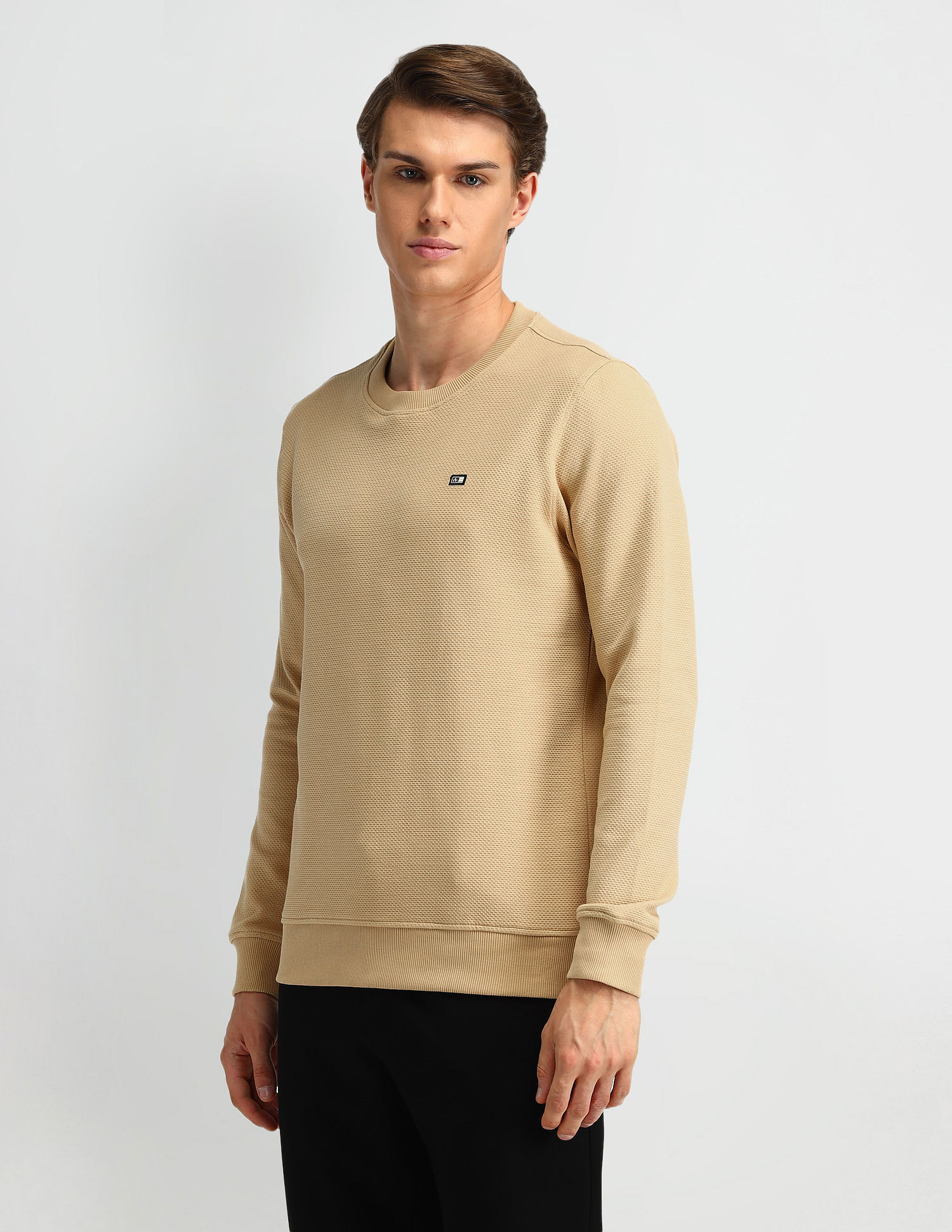 Arrow Sport Textured Regular Fit Sweatshirt