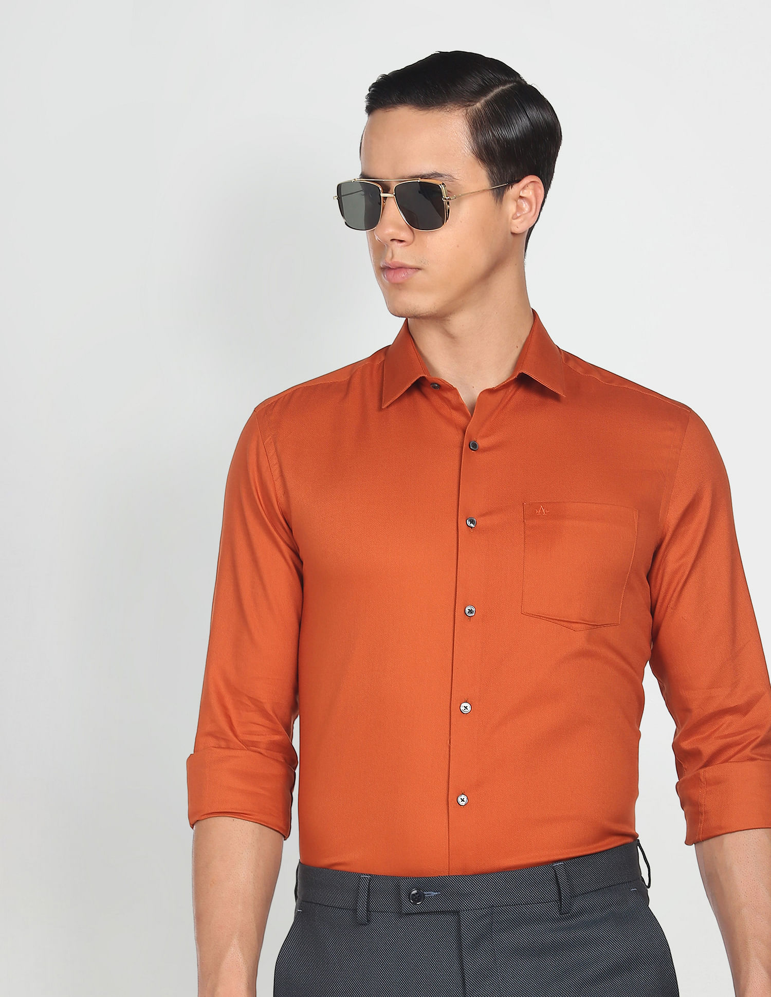 Arrow Dobby Cotton Solid Shirt
