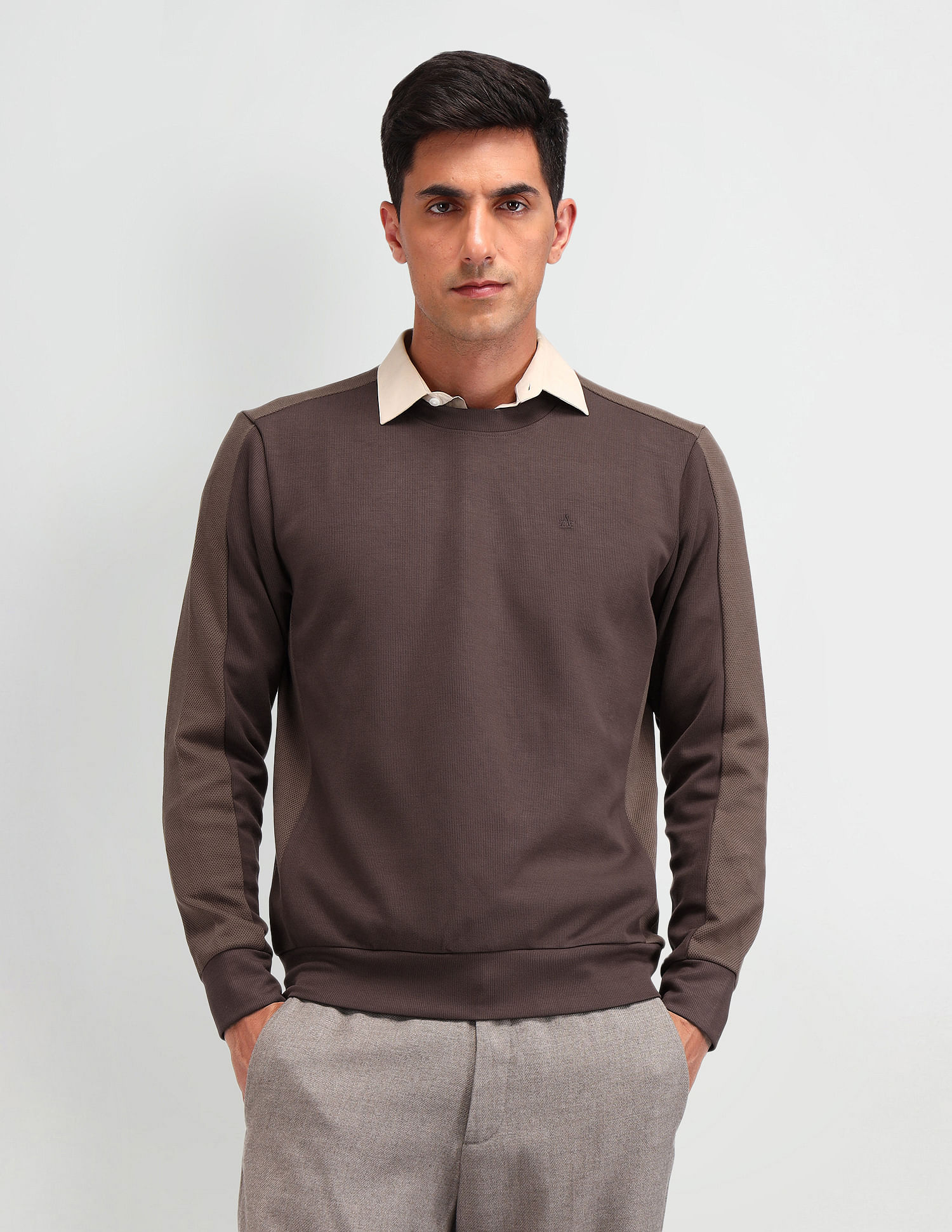 Arrow Textured Regular Fit Sweatshirt
