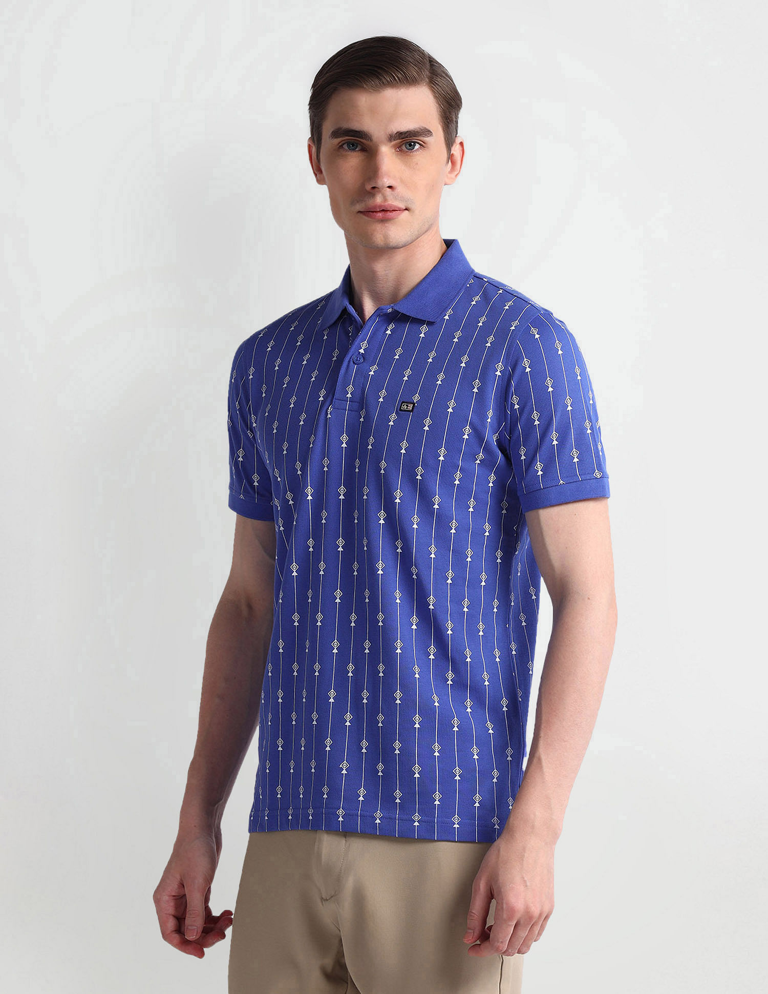 Arrow Sport Vertical Stripe Polo Shirt