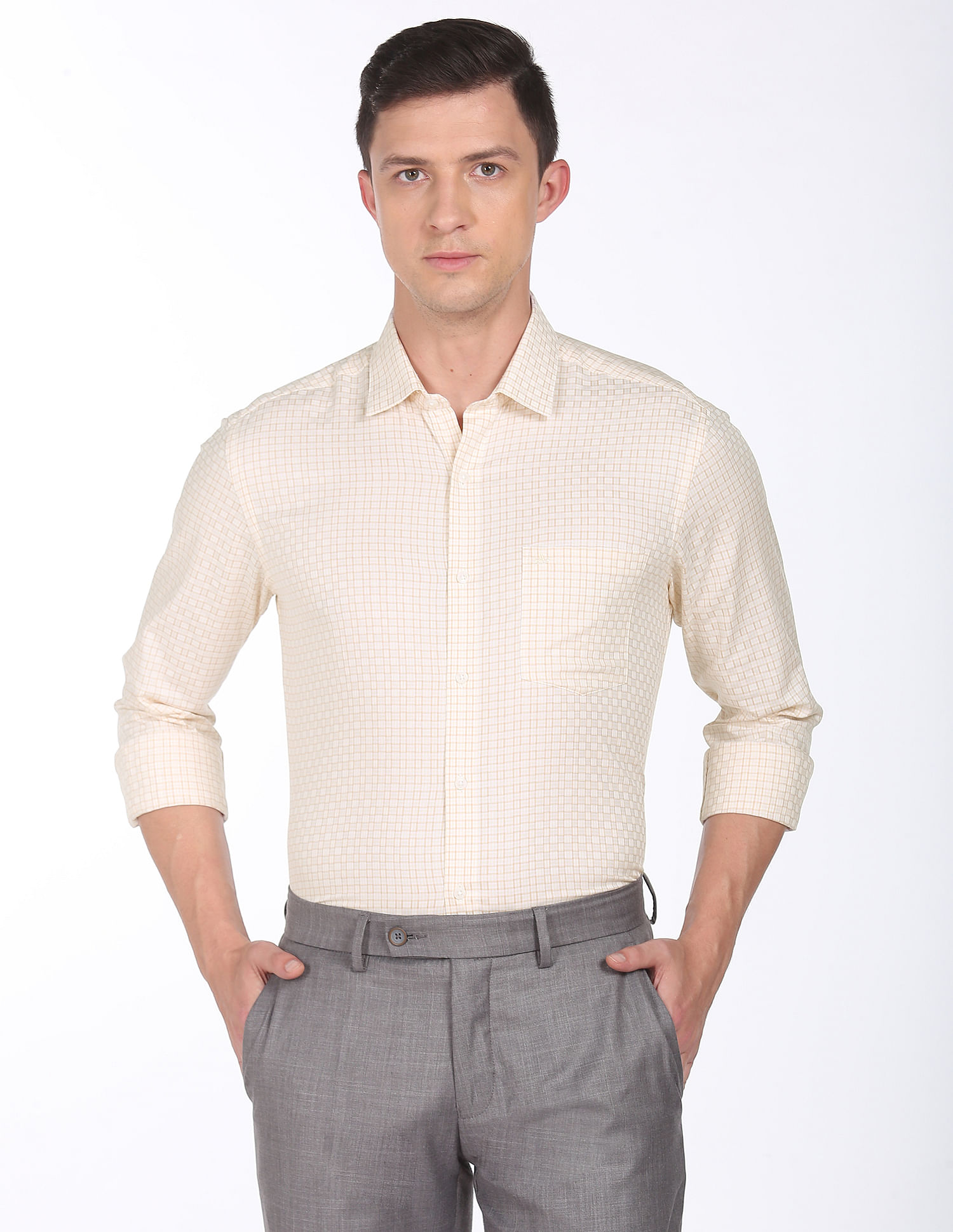 Arrow Micro Check Twill Shirt