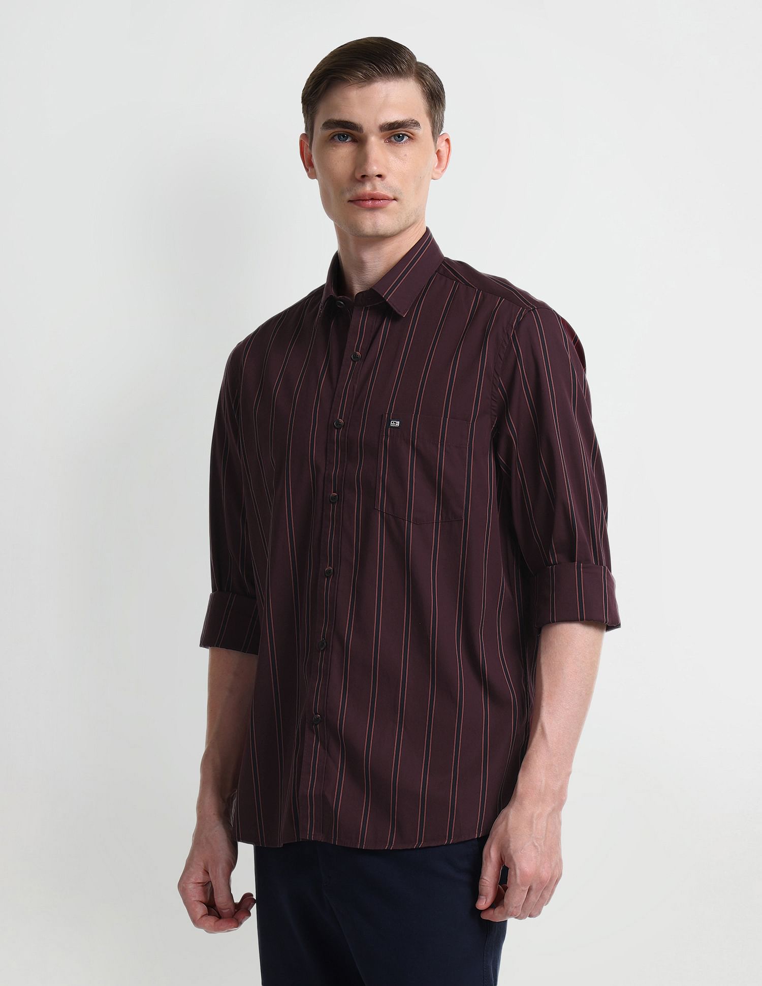 Arrow Sport Slim Cotton Vertical Stripes Shirt