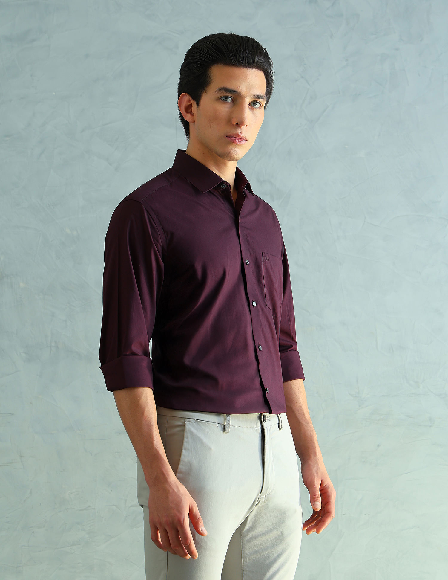 Arrow Slim Fit Smart Formal Shirt