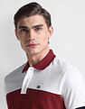 Arrow Sports Colour Block Regular Polo Shirt