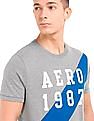 Aeropostale Brand Print Regular Fit T-Shirt