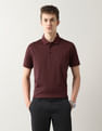 Arrow Pure Cotton Night Is Young Polo Shirt