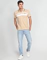 Arrow Sports Horizontal Stripe Cotton Polo Shirt