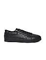 Calvin Klein Men Black Vulcanized Zipper Debossed Lace Up Sneakers