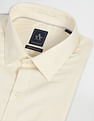 Arrow Manhattan Slim Fit Dobby Shirt