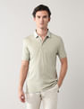 Arrow Heathered Regular Fit Polo Shirt