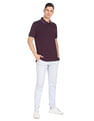 Arrow Sports Tipped Collar Solid Polo Shirt