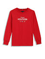 Tommy Hilfiger Kids Boys Monotype 1985 Regular Long Sleeves T-Shirt