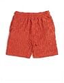 U.S. Polo Assn. Kids Boys Brand Appliqued Regular Fit Shorts