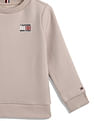 Tommy Hilfiger Kids Boys Flag Graphic Sweatshirt