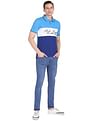 AD by Arvind Colour Block Sporty Polo Shirt