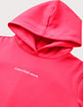 Calvin Klein Institutional Logo Hooded Sweatshirt