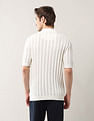 Arrow Textured Relaxed Fit Polo Shirt